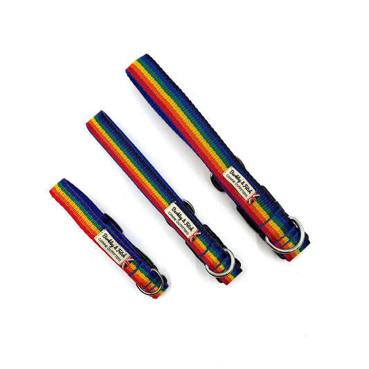 Rainbow Webbing dog collar