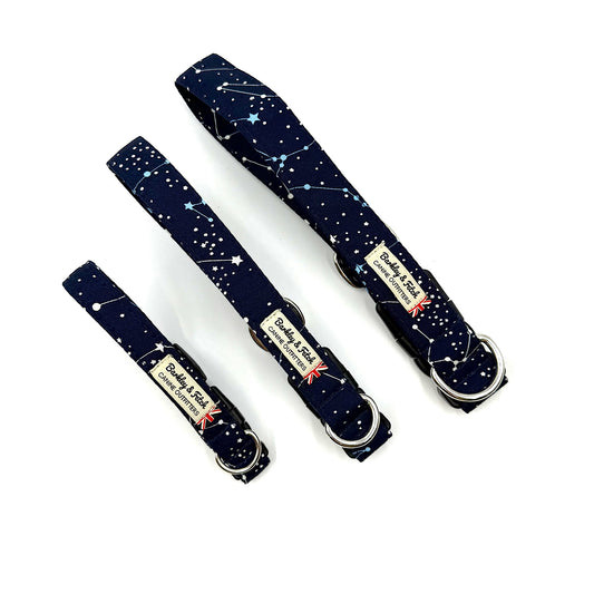 Zodiac Print dog collar