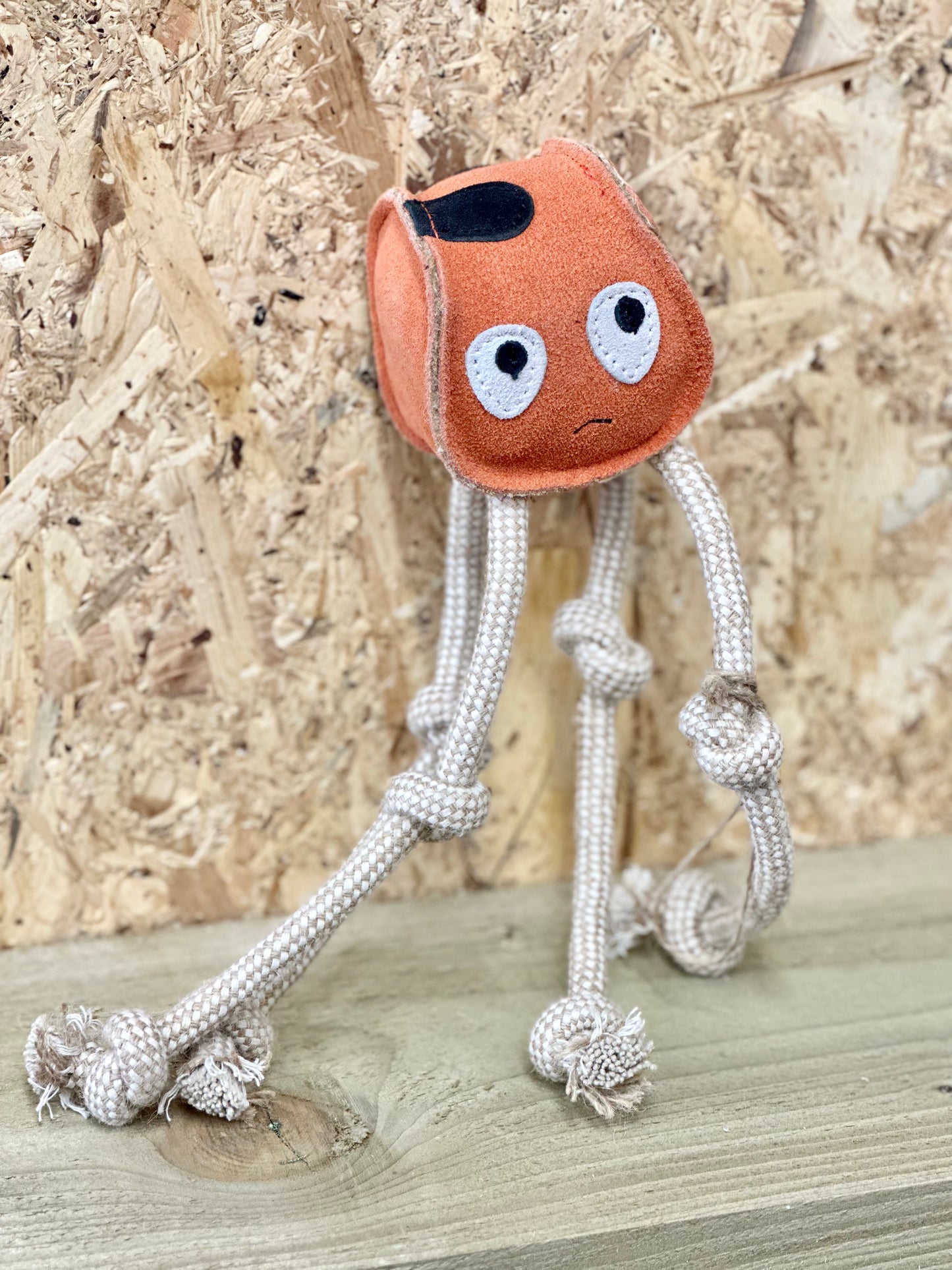 Sid the “eco” spider