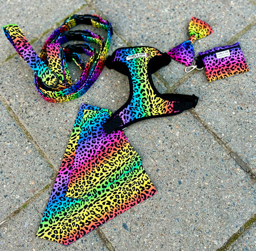 Rainbow leopard (leads,collars, harnesses and more)