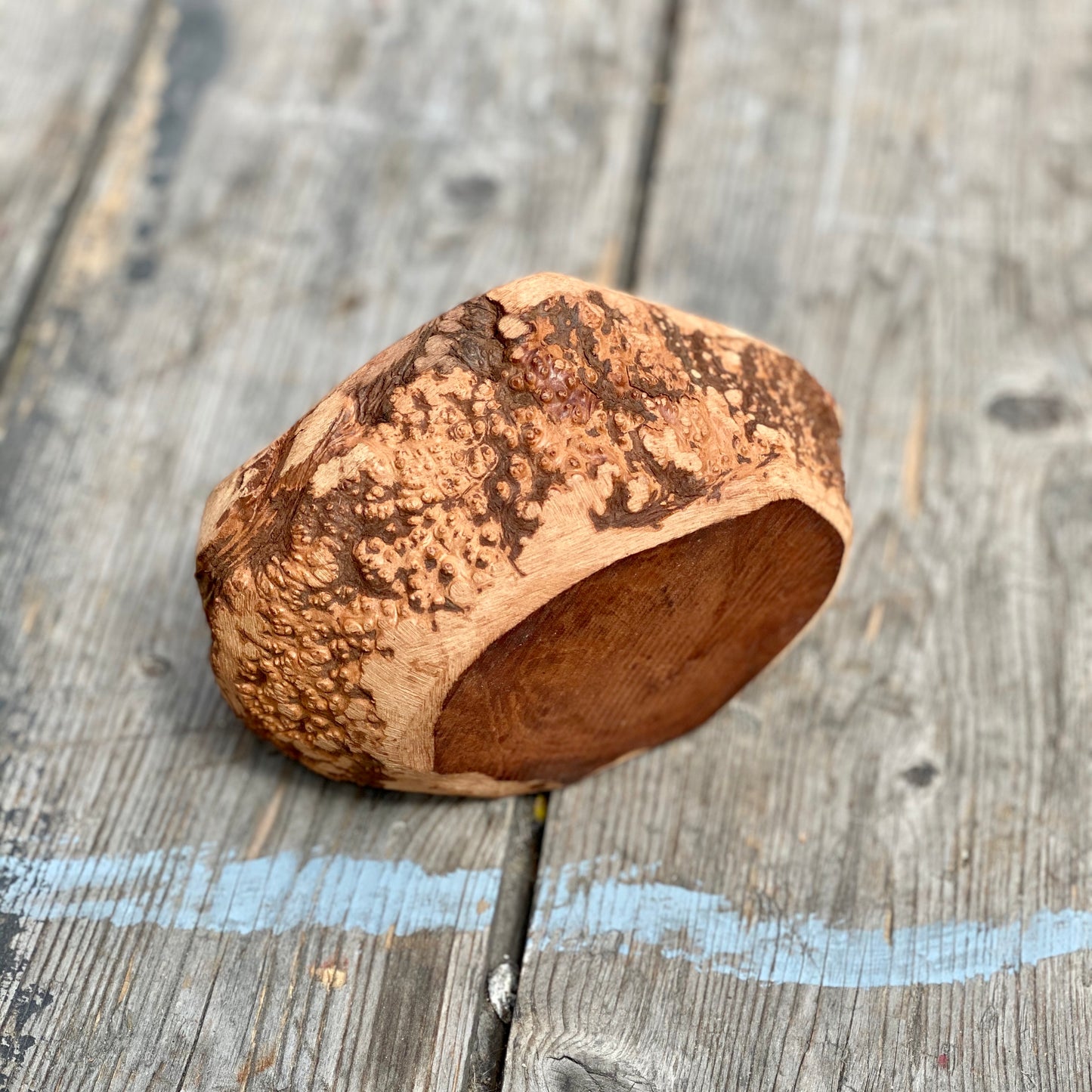 Natural Root chew, long lasting chew