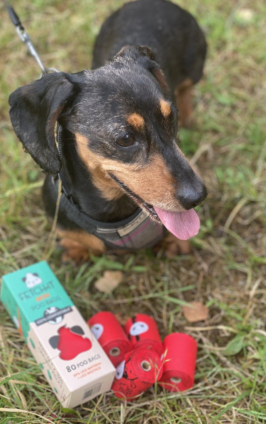 Mini toy/small breeds “Fetch it” compostable poop bags