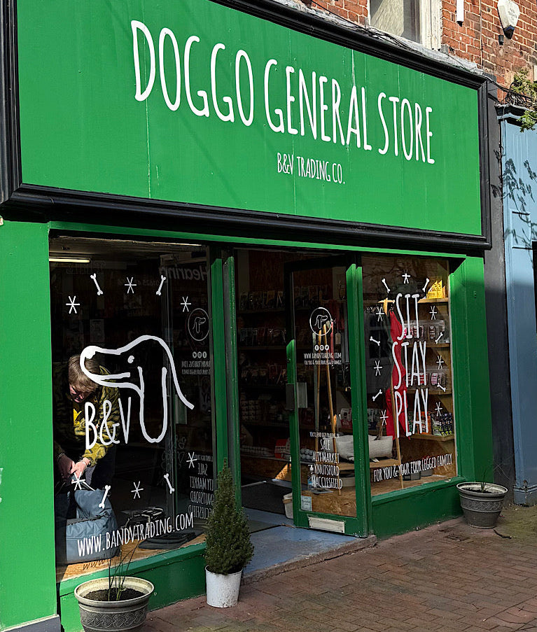Green storefront with 'Doggo General Store' sign on a brick building.