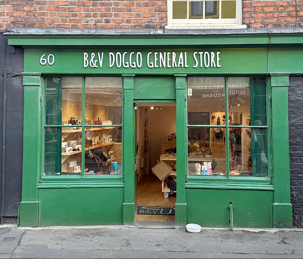 The storefront of B&V Doggo General Store, featuring a bright green painted facade with white lettering, large display windows, and an open central door showing the interior shop.