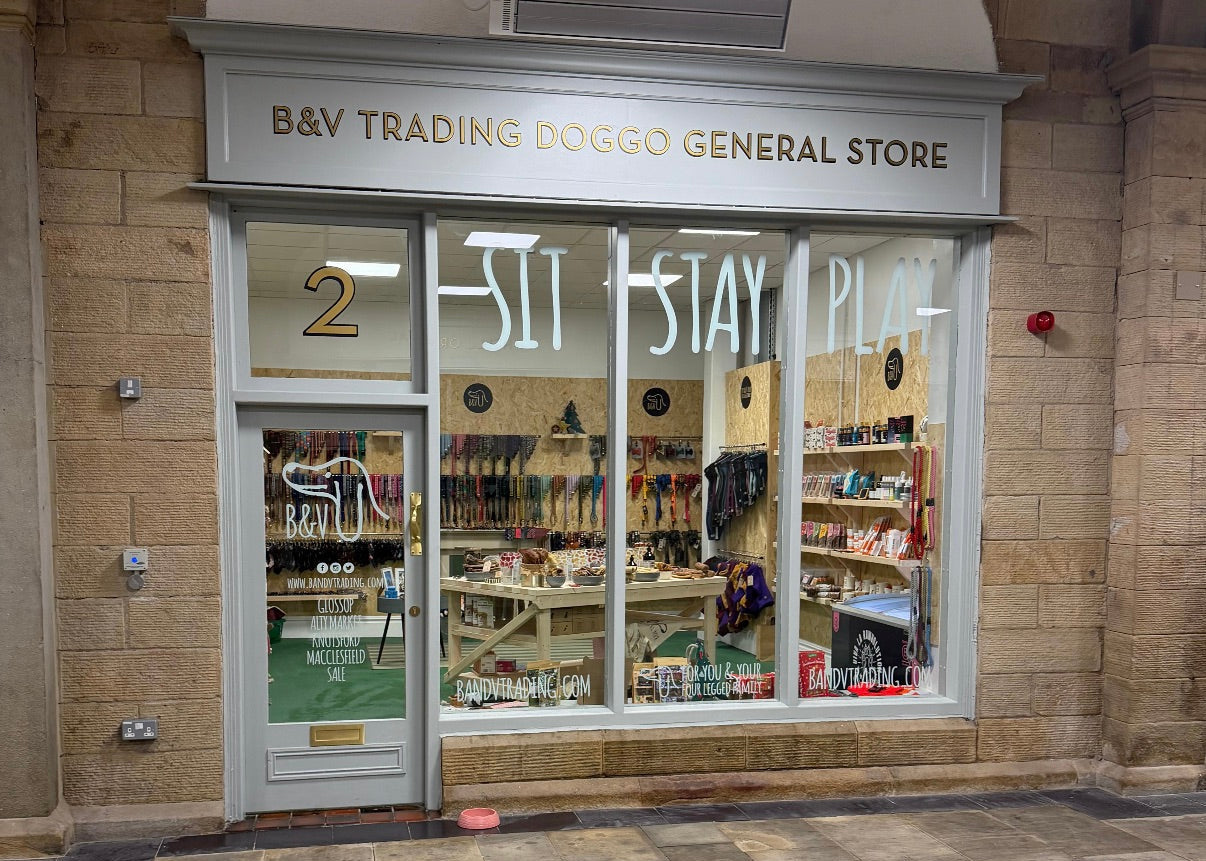 Storefront with 'B&V Trading Doggo General Store' sign and glass windows displaying items.