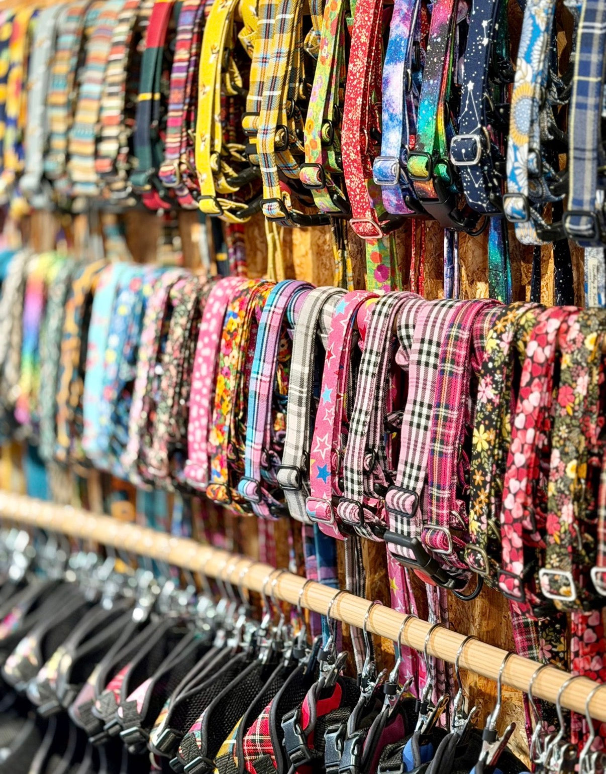 Row of colorful dog collars on a rack