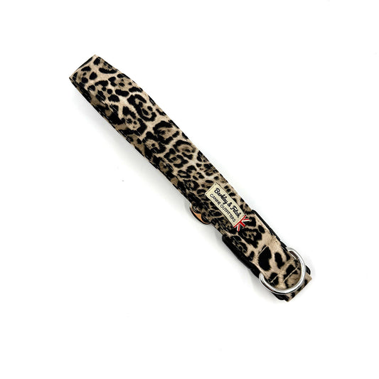 Leopard Print dog collar
