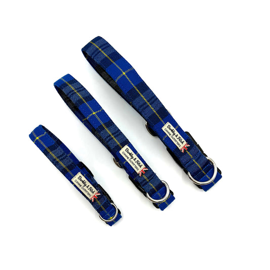 Royal Blue Tartan dog collar
