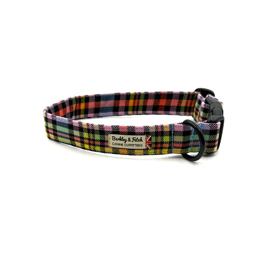 Pastel Rainbow Check dog collar