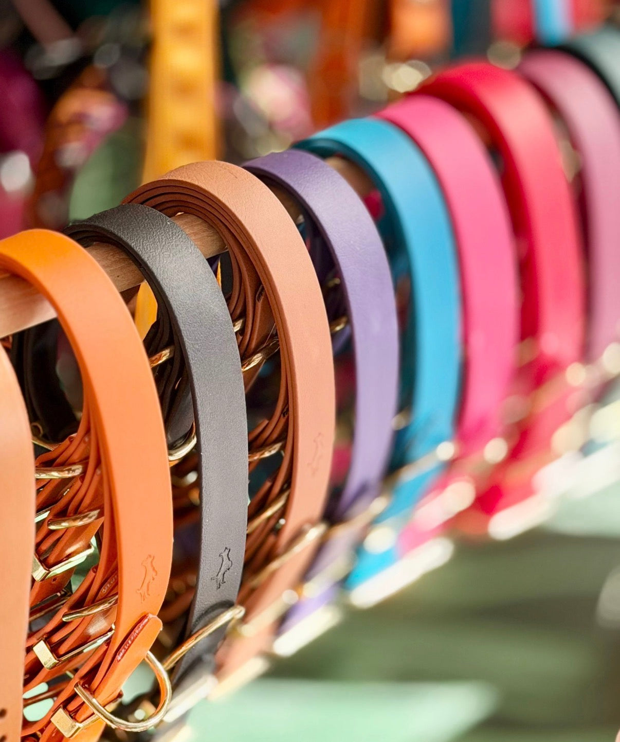 Row of colorful leather dog collars on a rack with a blurred background