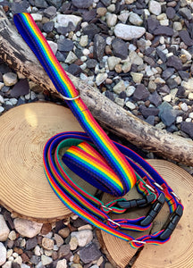 Rainbow collars & lead