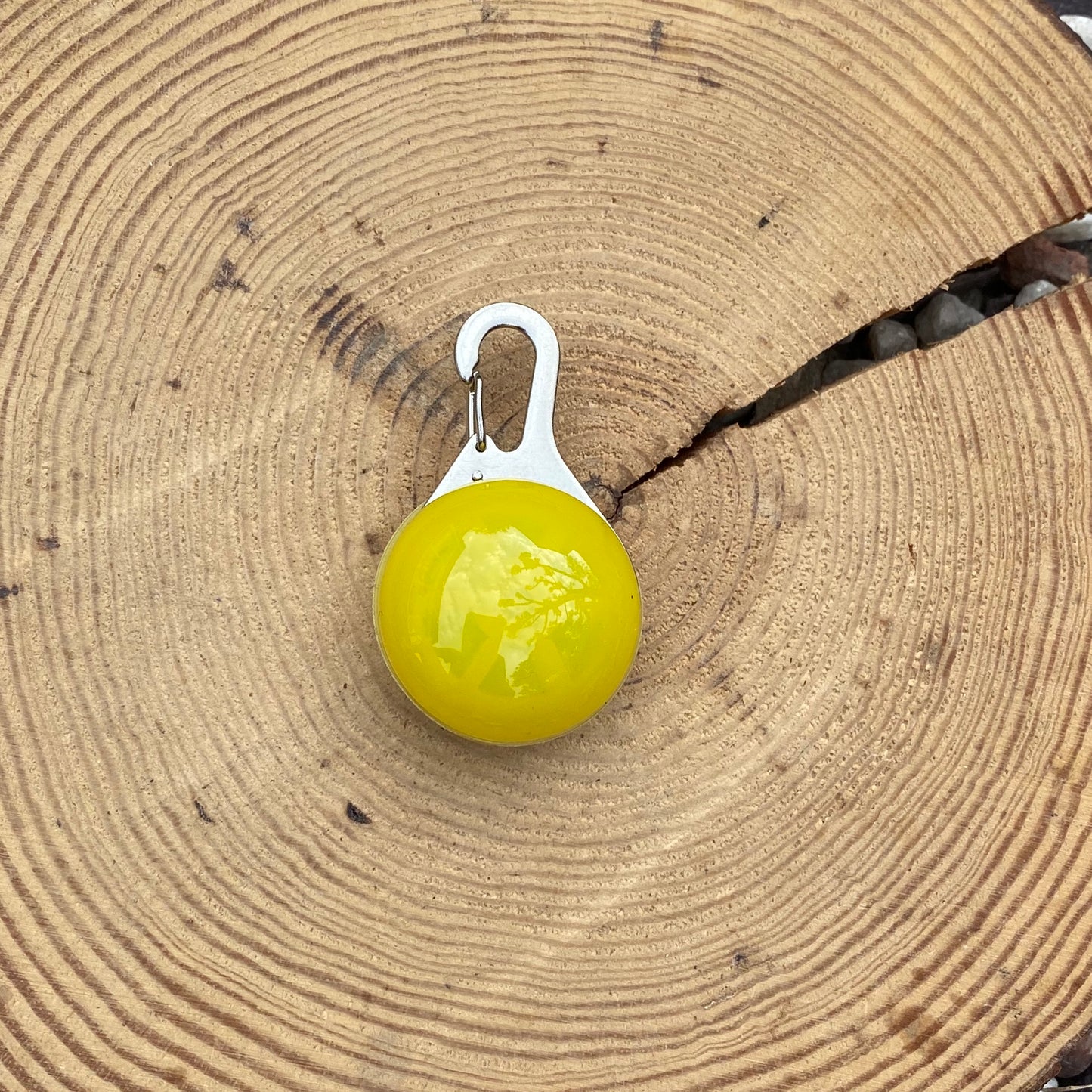 Collar light