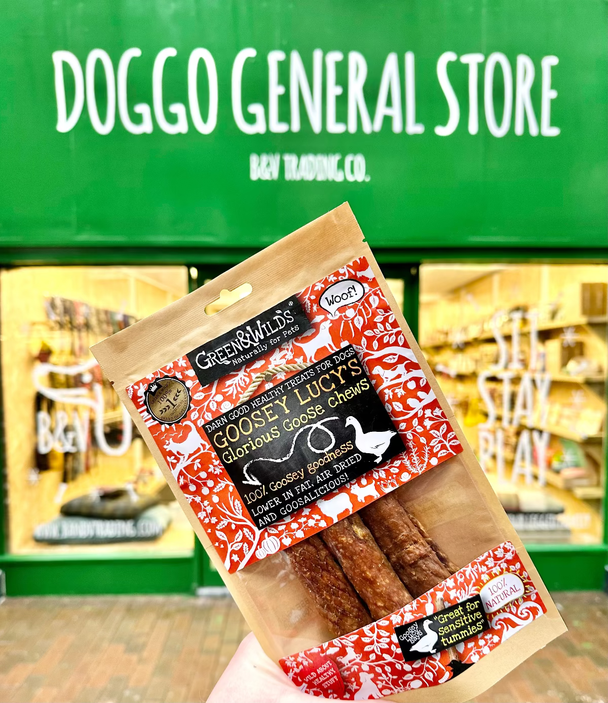 A hand holding a resealable 100g bag of Goosey Lucy's chews with a label featuring an illustration of a goose and text describing the product as a '100% Goosey goodness', 'Low in fat', and 'Packed with minerals'.
