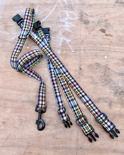 Colourful check (leads,collars, harnesses and more)