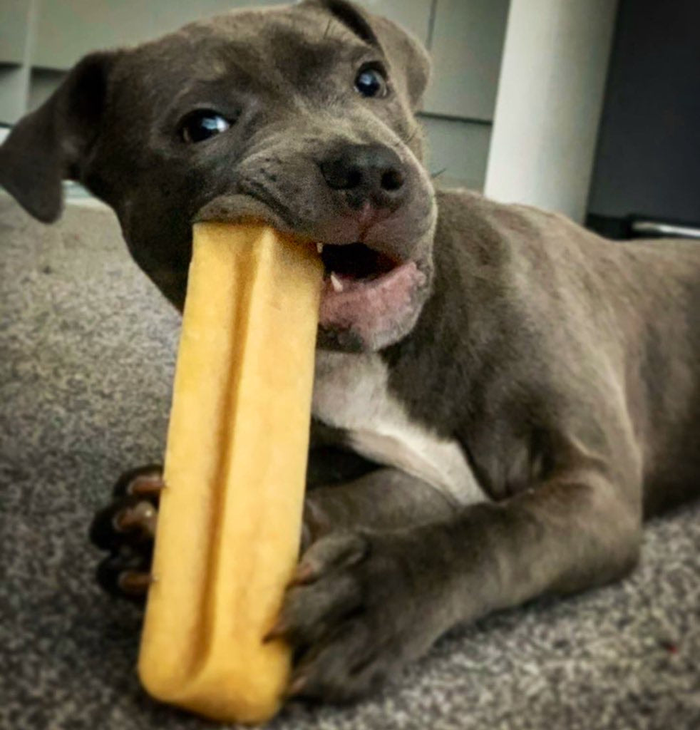 Long lasting Yak Chews 100% natural & organic chews