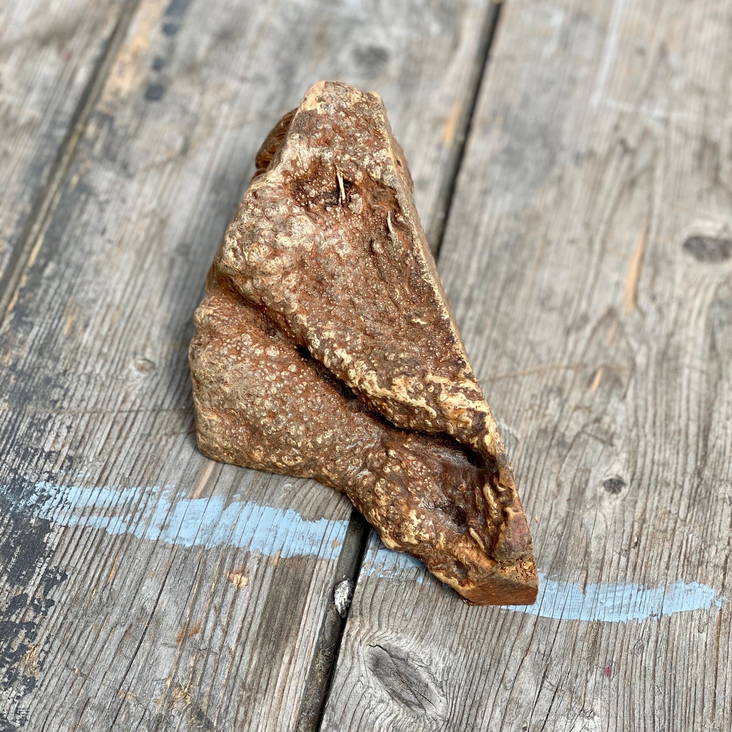 Natural Root chew, long lasting chew