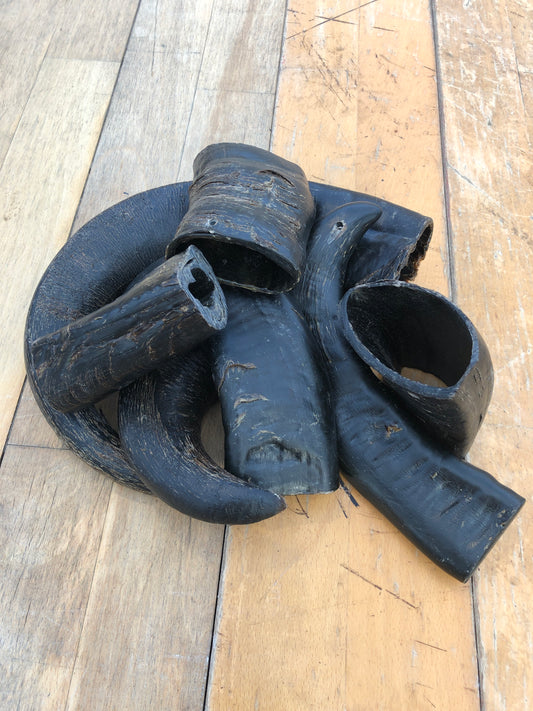 Buffalo horn chew (100% natural) small/medium/large