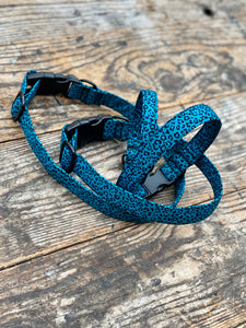 Blue/black Pawsome “wild side” collars & Lead by Barkley & Fetch