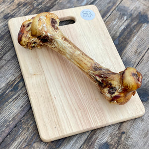 Dino Ostrich bone (XL)