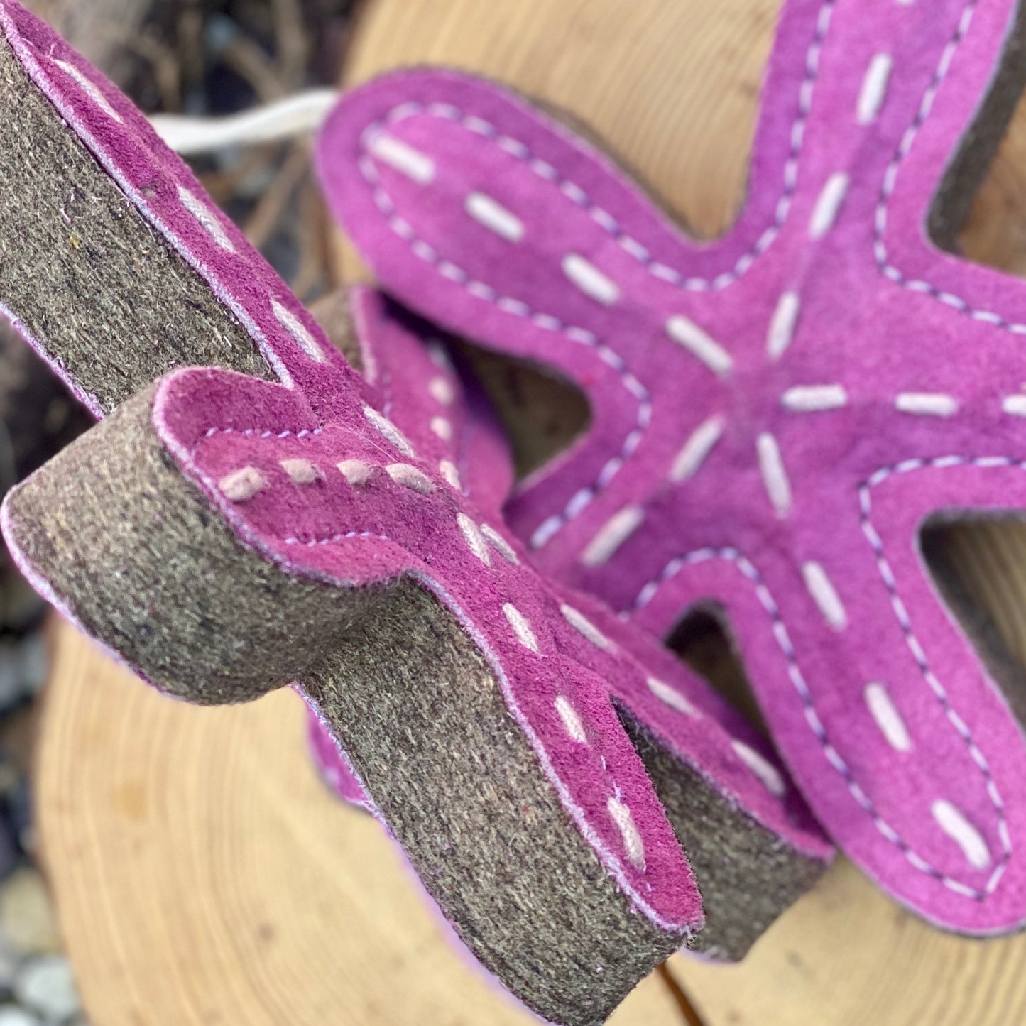 Sammy the starfish eco toy