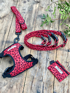 Red leopard print dog collars
