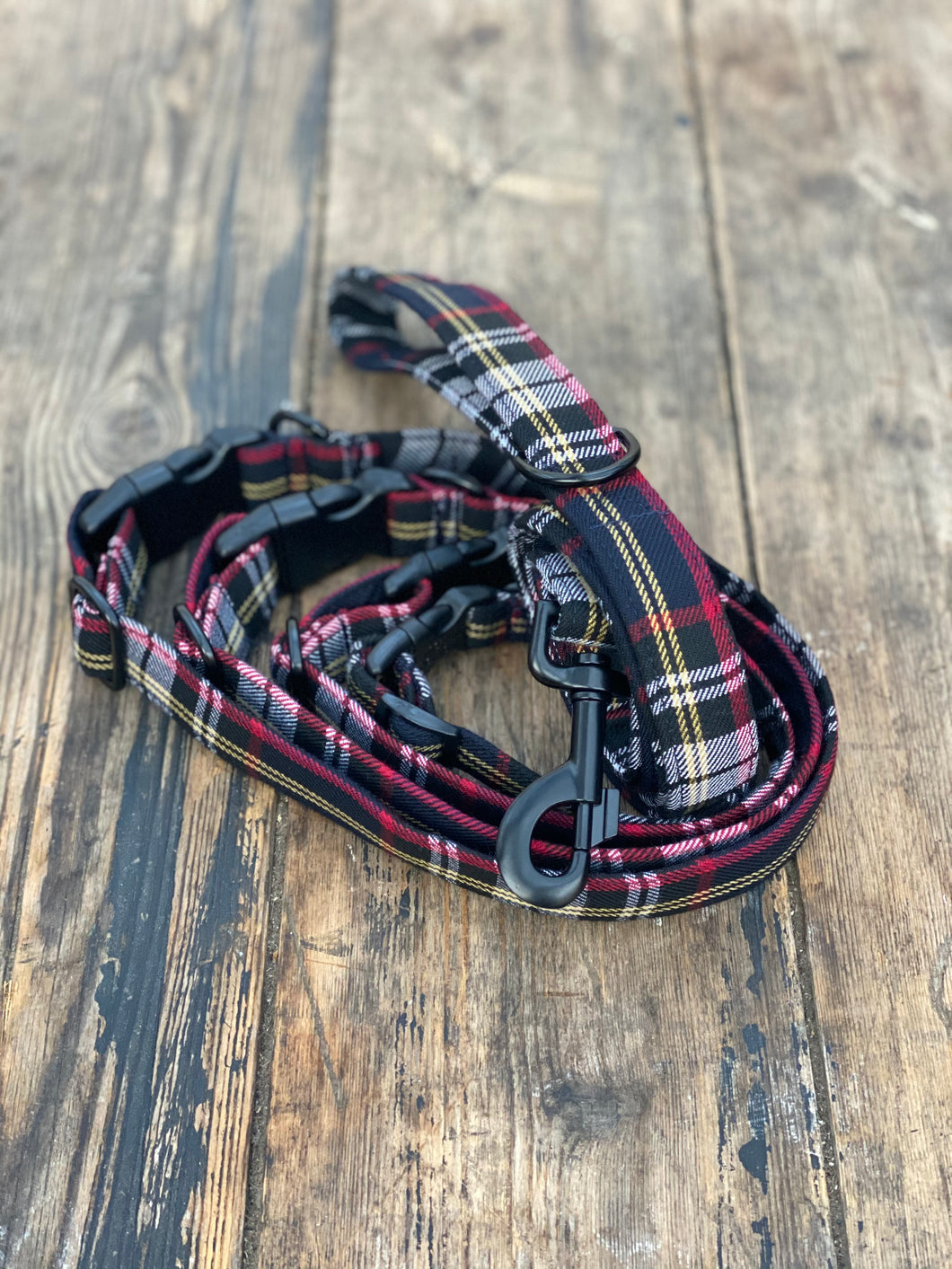 Classic tartan in navy/red/yellow & white (collar & leads)