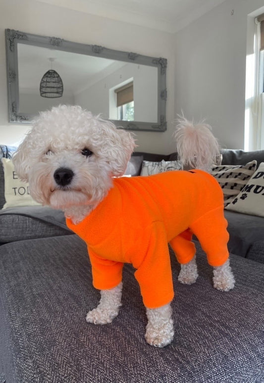 (Day glo orange) *new colour Four legged pawsome suits