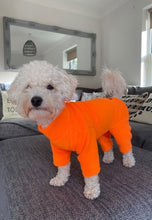 Load image into Gallery viewer, (Day glo orange) *new colour Four legged pawsome suits