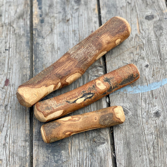 Olive wood chews
