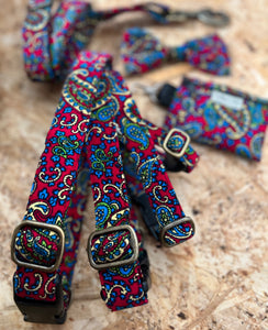 Paisley suave style (leads,collars, harnesses and more)
