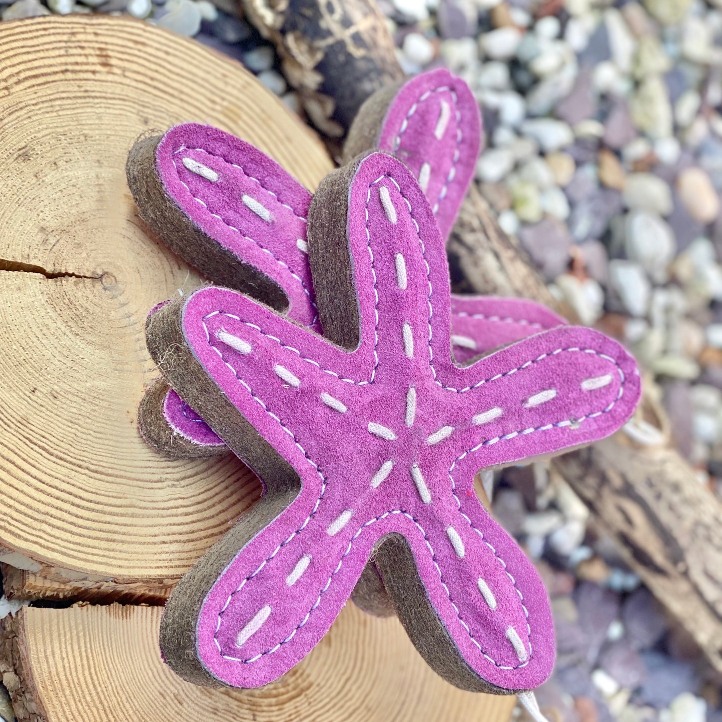 Sammy the starfish eco toy
