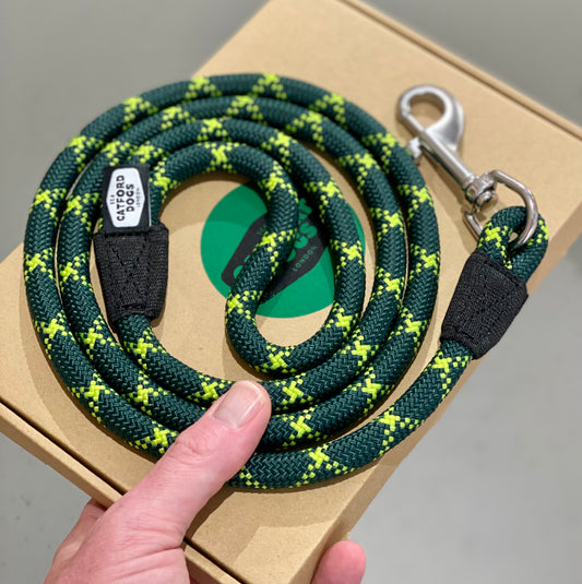 Green & Yellow Catford dog lead