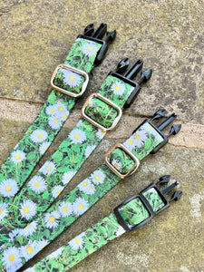 Fresh as a Daisy (leads,collars, harnesses and more)