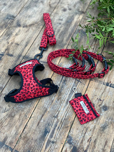 Red leopard print dog collars