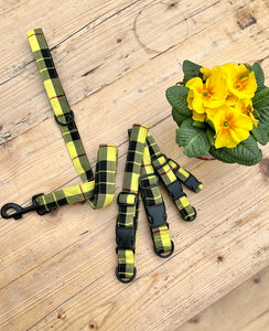 Yellow sunshine tartan collar by Barkley and Fetch