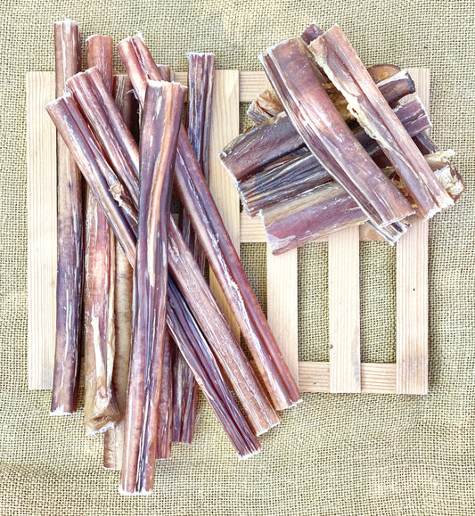 XL bulls pizzle sticks