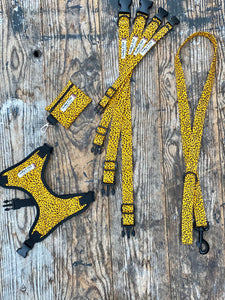 Yellow/black Pawsome “wild side” collars & Lead by Barkley & Fetch