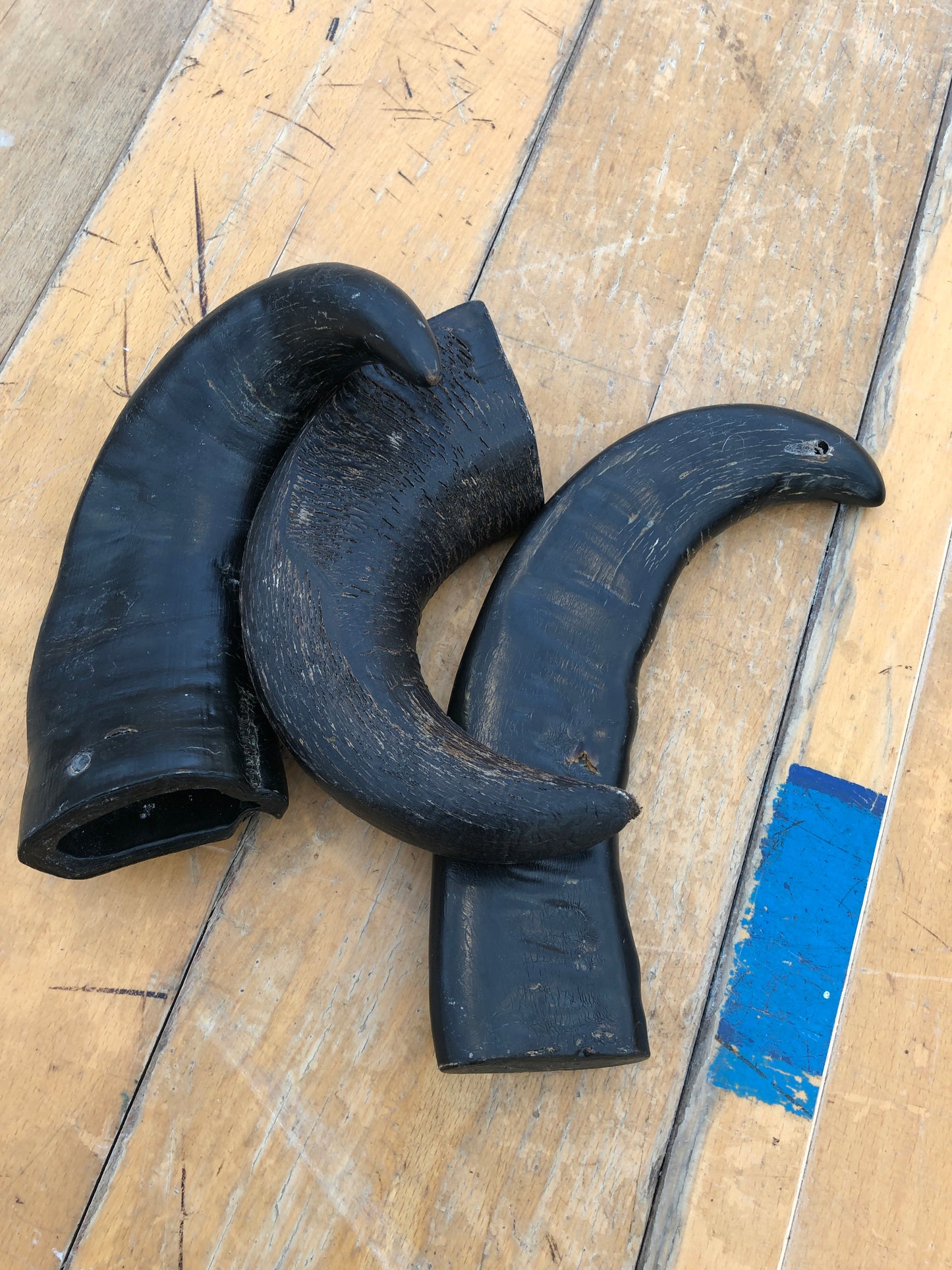 Buffalo horn chew (100% natural) small/medium/large