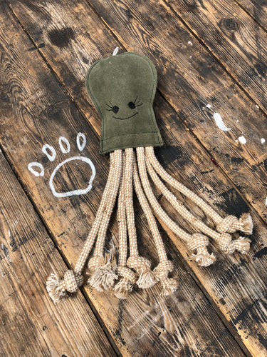 Olive the “eco” octopus