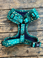 Load image into Gallery viewer, Stars dog harness green/gold