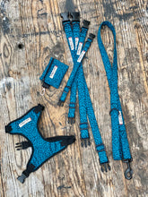 Load image into Gallery viewer, Blue/black Pawsome “wild side” collars &amp; Lead by Barkley &amp; Fetch